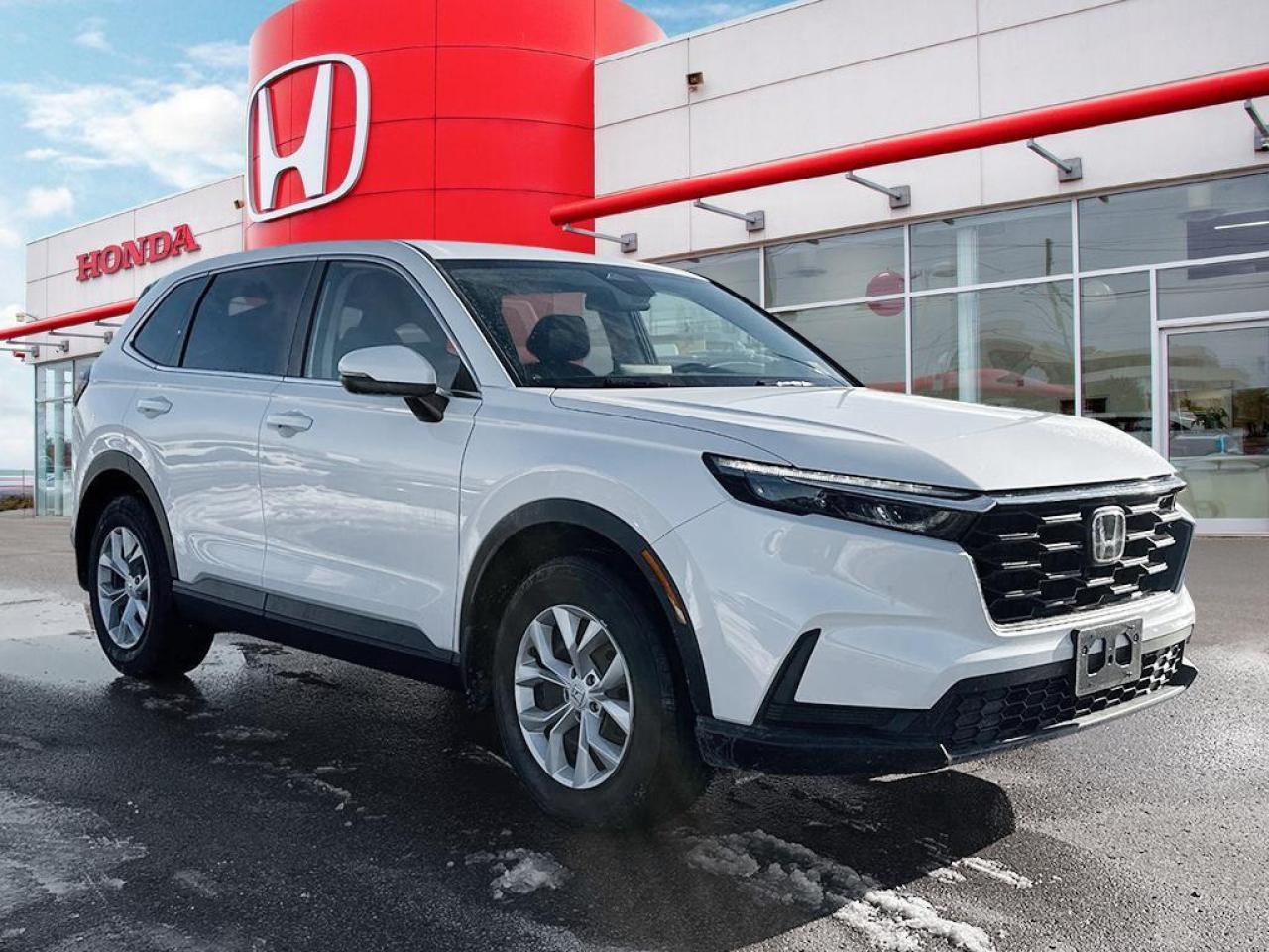 2023 Honda CR-V LX Photo