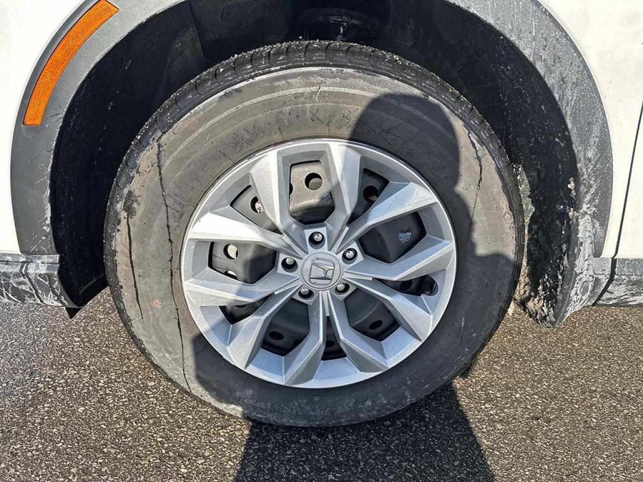 2023 Honda CR-V LX Photo