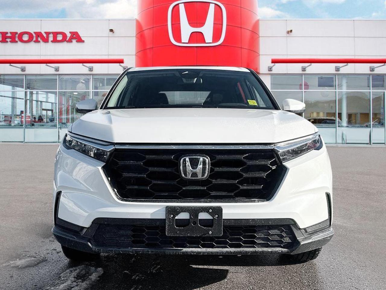 2023 Honda CR-V LX Photo