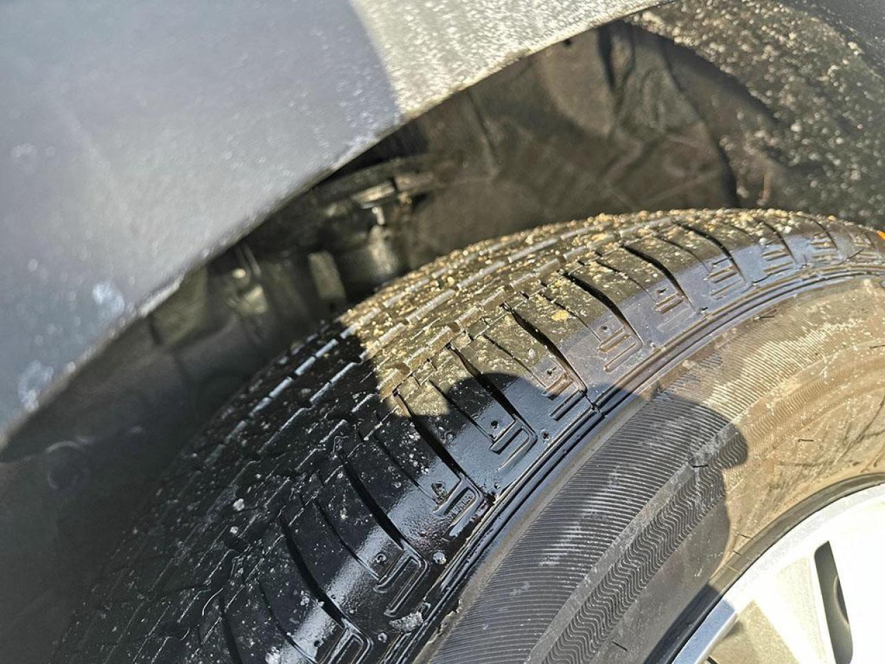 2023 Honda CR-V LX Photo