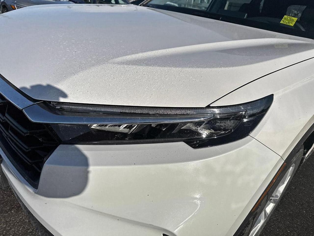 2023 Honda CR-V LX Photo