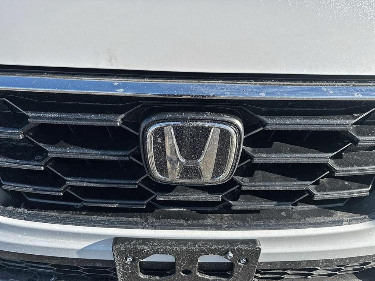 2023 Honda CR-V LX Photo