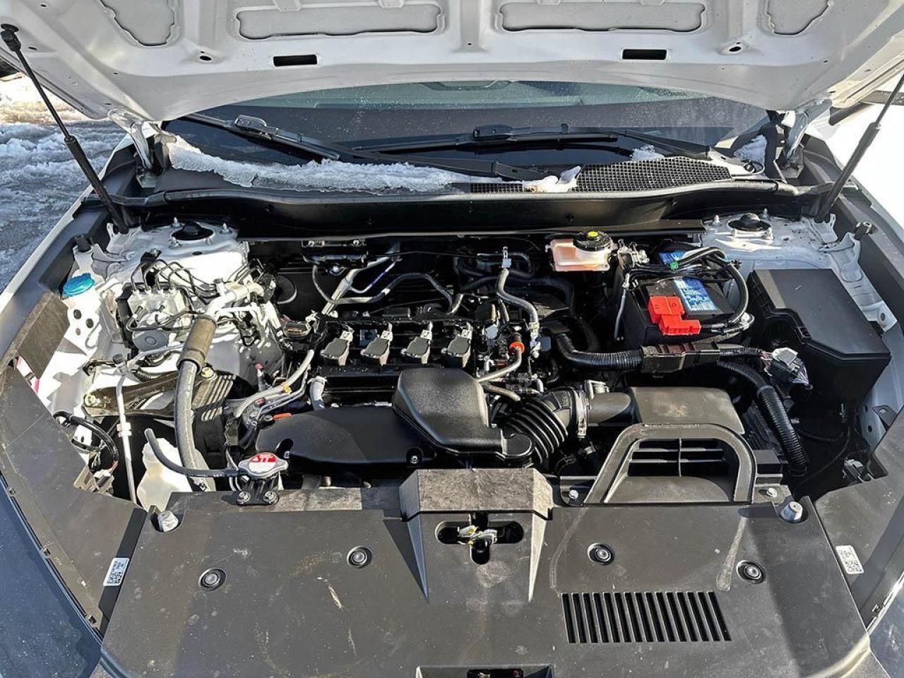 2023 Honda CR-V LX Photo