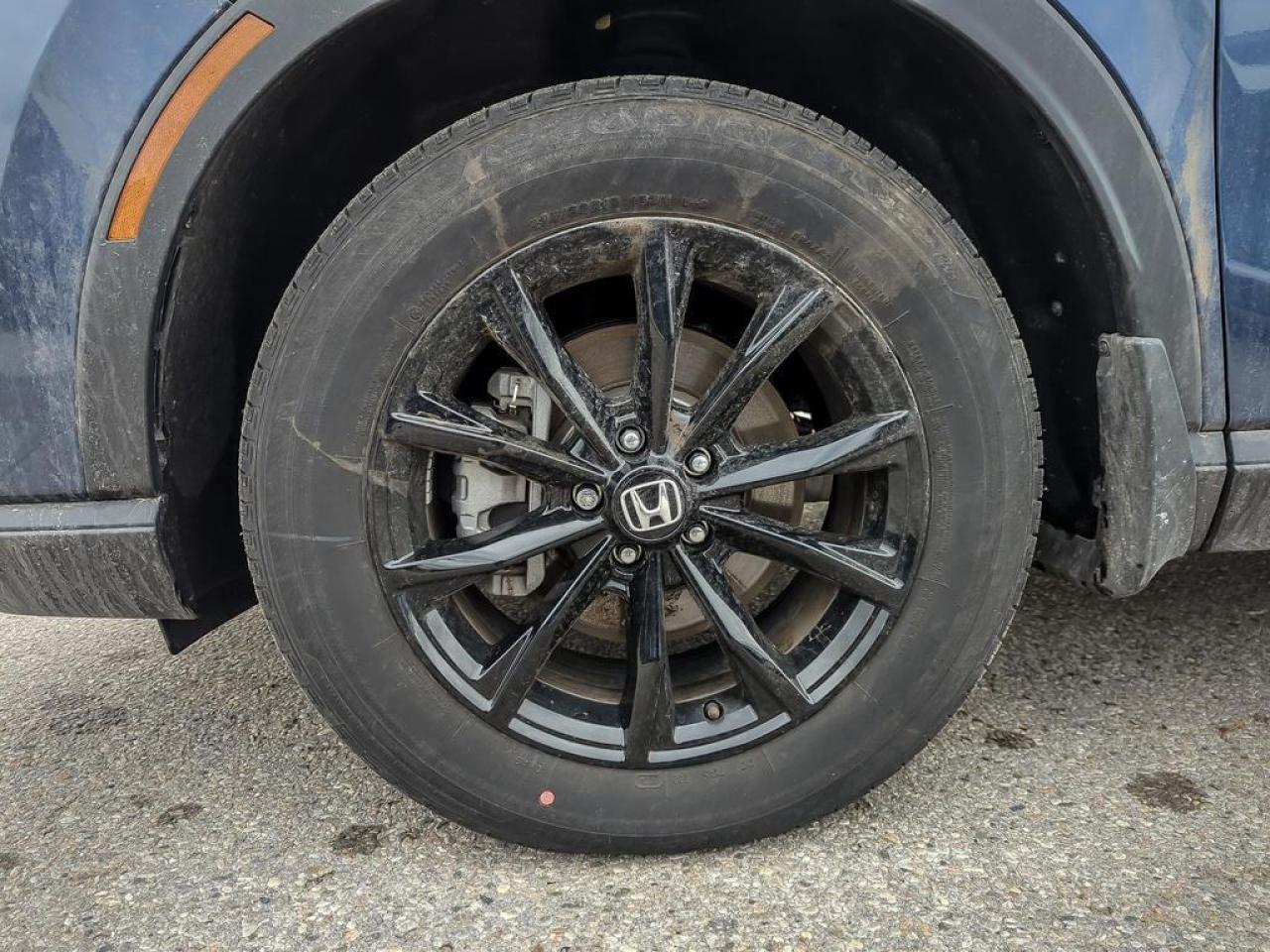 2025 Honda CR-V Hybrid EX-L Photo