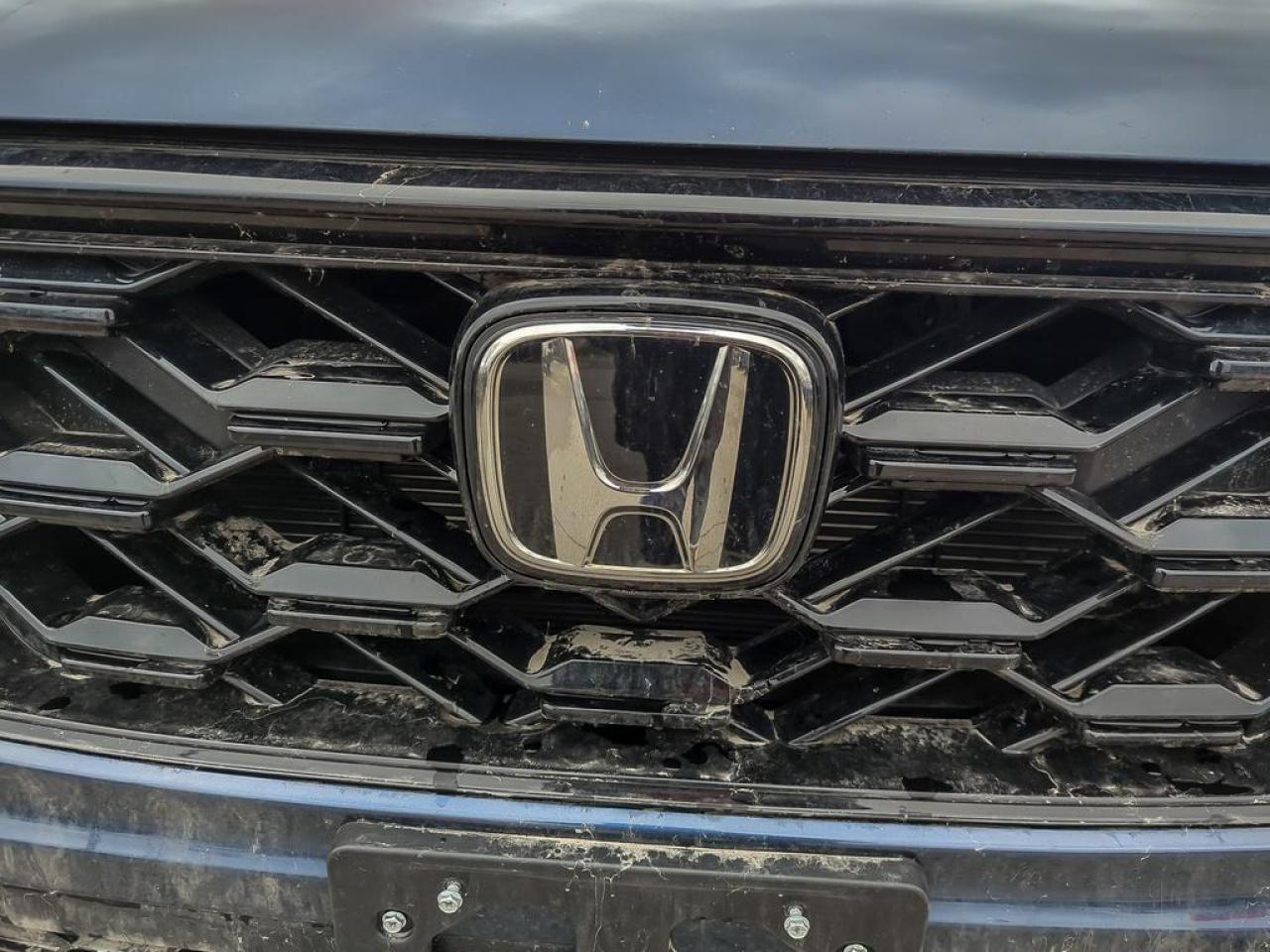 2025 Honda CR-V Hybrid EX-L Photo