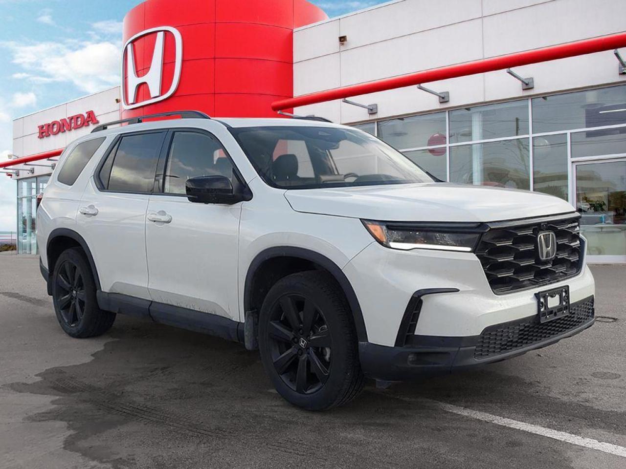 2025 Honda Pilot Black Edition Photo