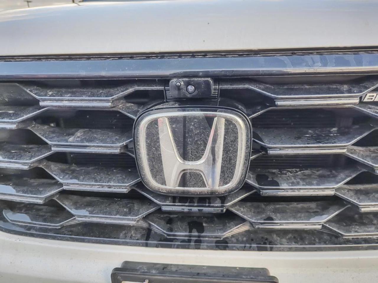 2025 Honda Pilot Black Edition Photo
