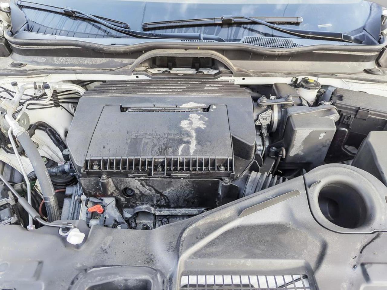 2025 Honda Pilot Black Edition Photo