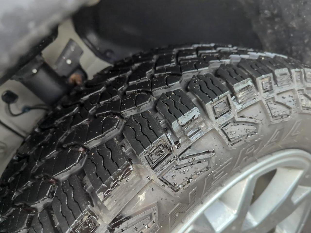 2025 Honda Passport TRAILSPORT Photo