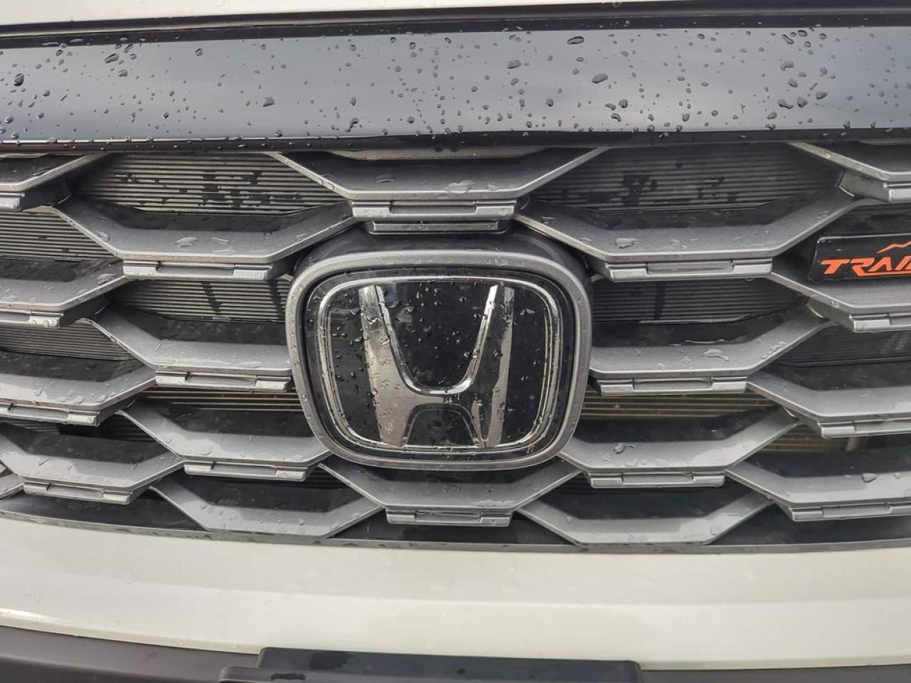 2025 Honda Passport TRAILSPORT Photo