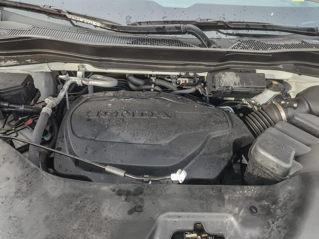 2025 Honda Passport TRAILSPORT Photo