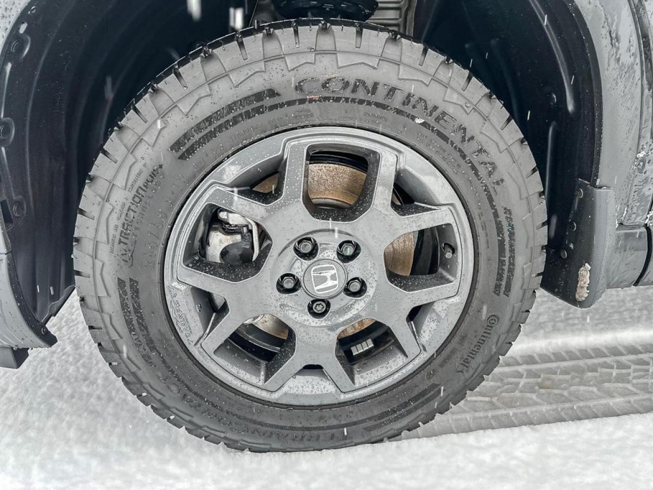 2025 Honda Pilot TrailSport Photo