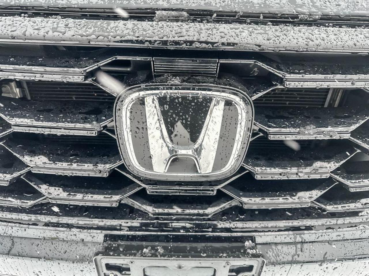 2025 Honda Pilot TrailSport Photo