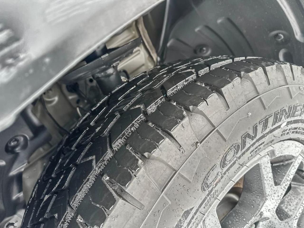 2025 Honda Pilot TrailSport Photo