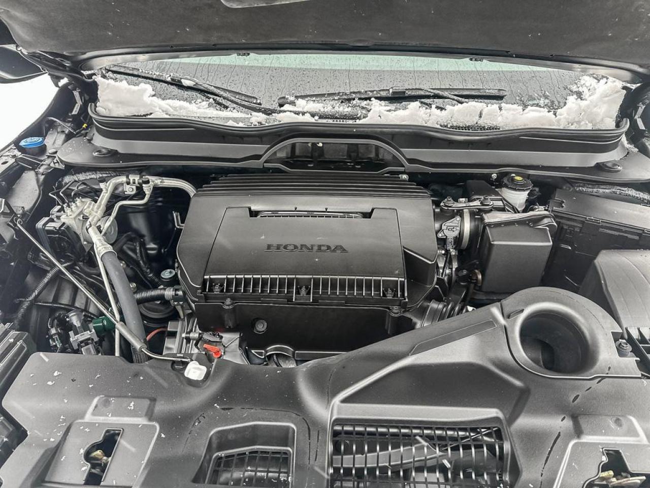 2025 Honda Pilot TrailSport Photo