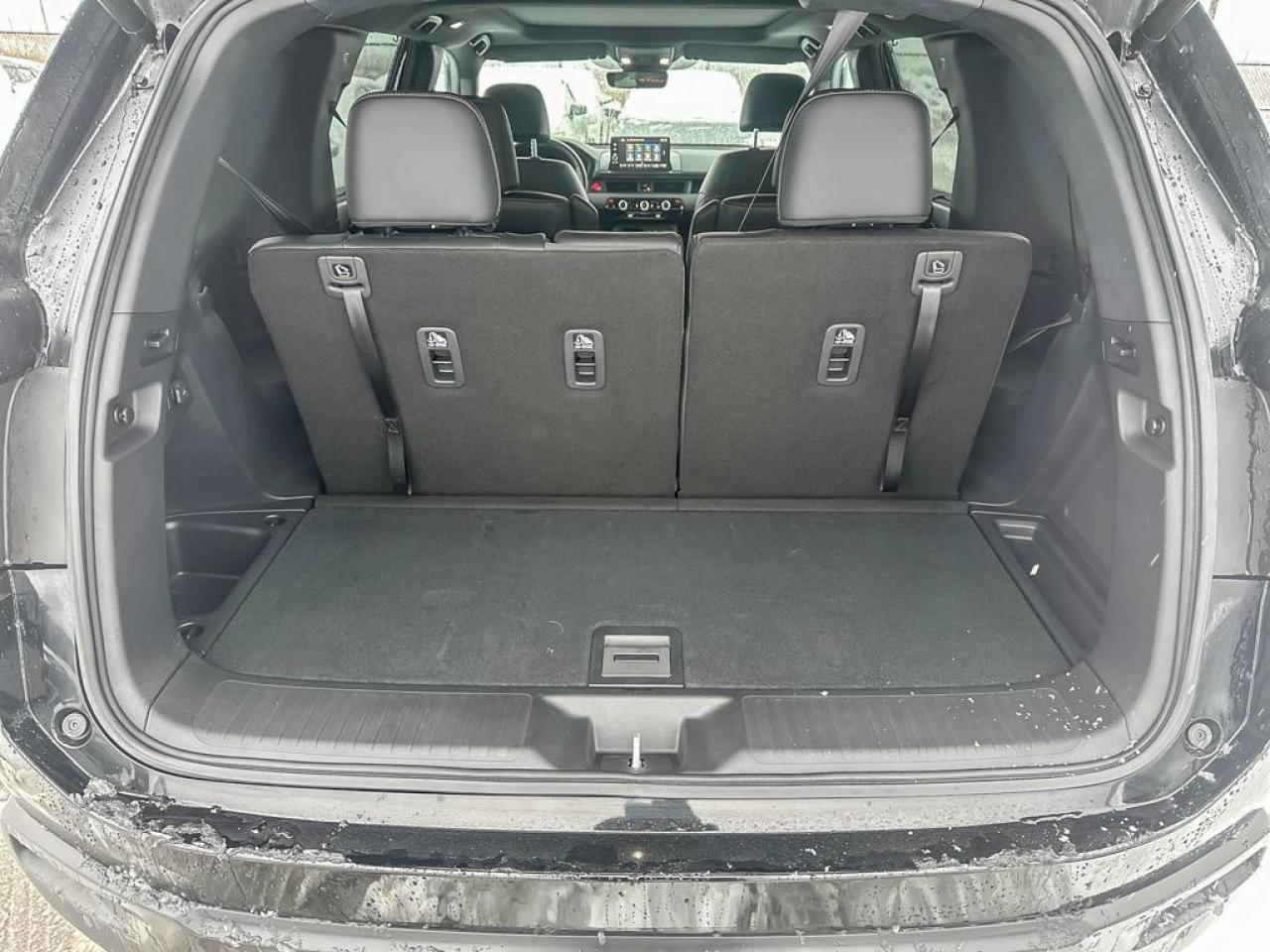 2025 Honda Pilot TrailSport Photo