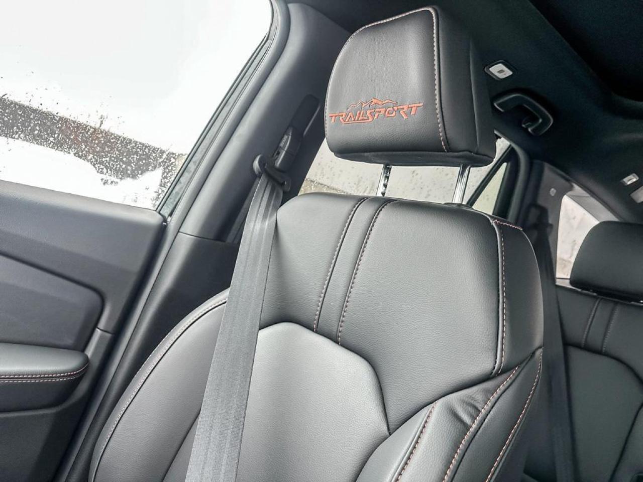 2025 Honda Pilot TrailSport Photo