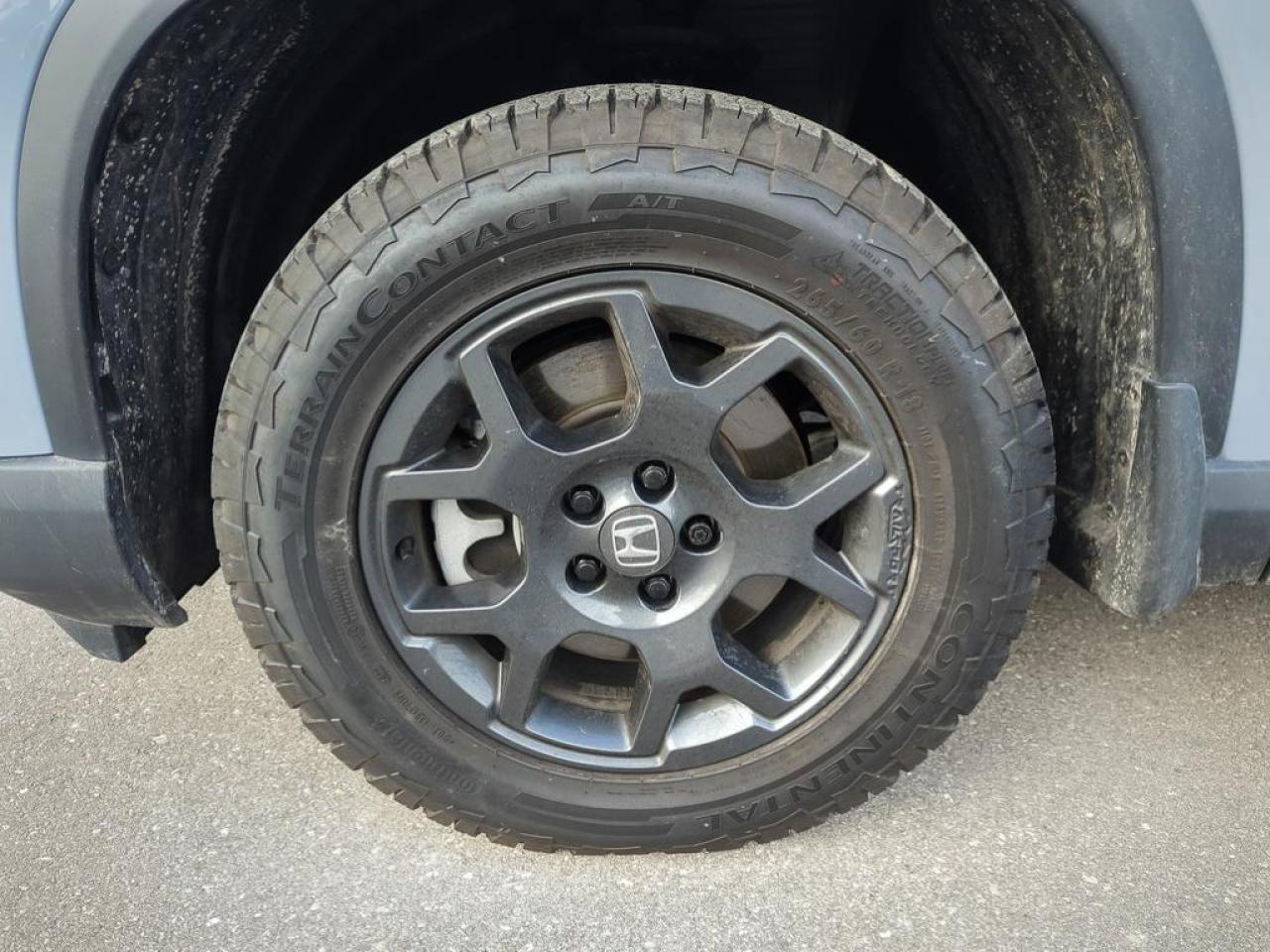 2025 Honda Pilot TrailSport Photo