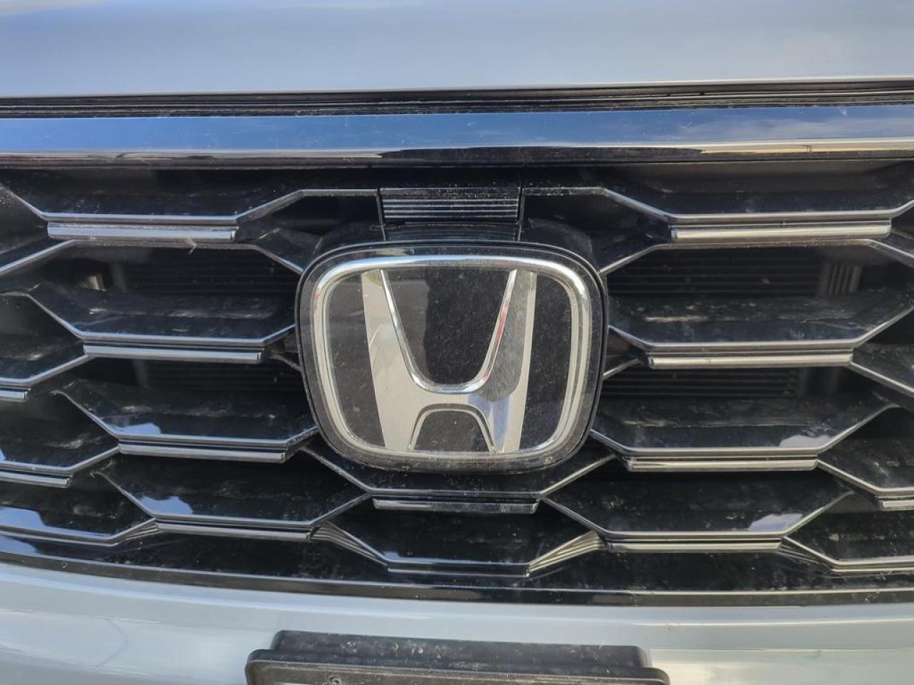 2025 Honda Pilot TrailSport Photo