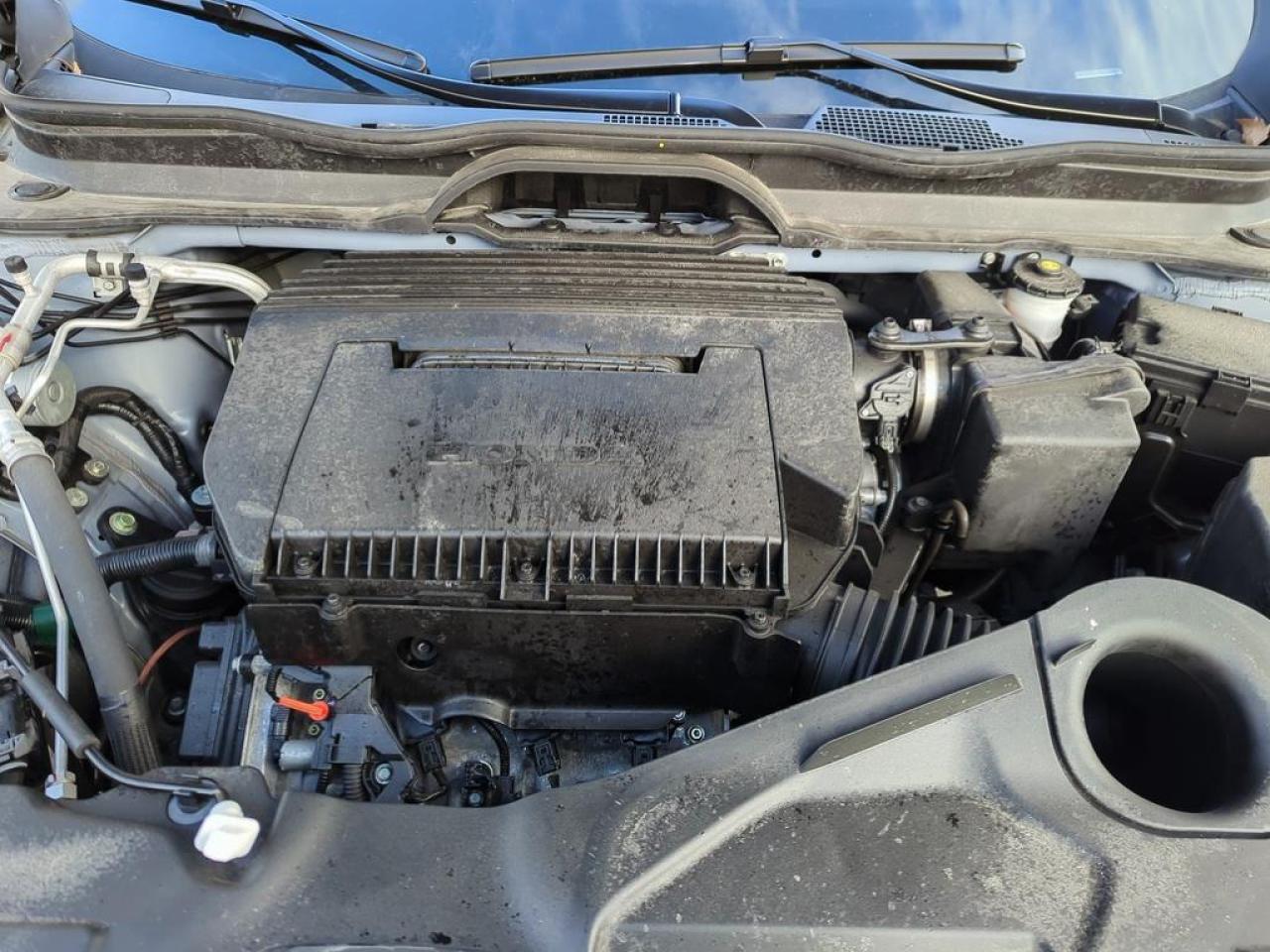 2025 Honda Pilot TrailSport Photo