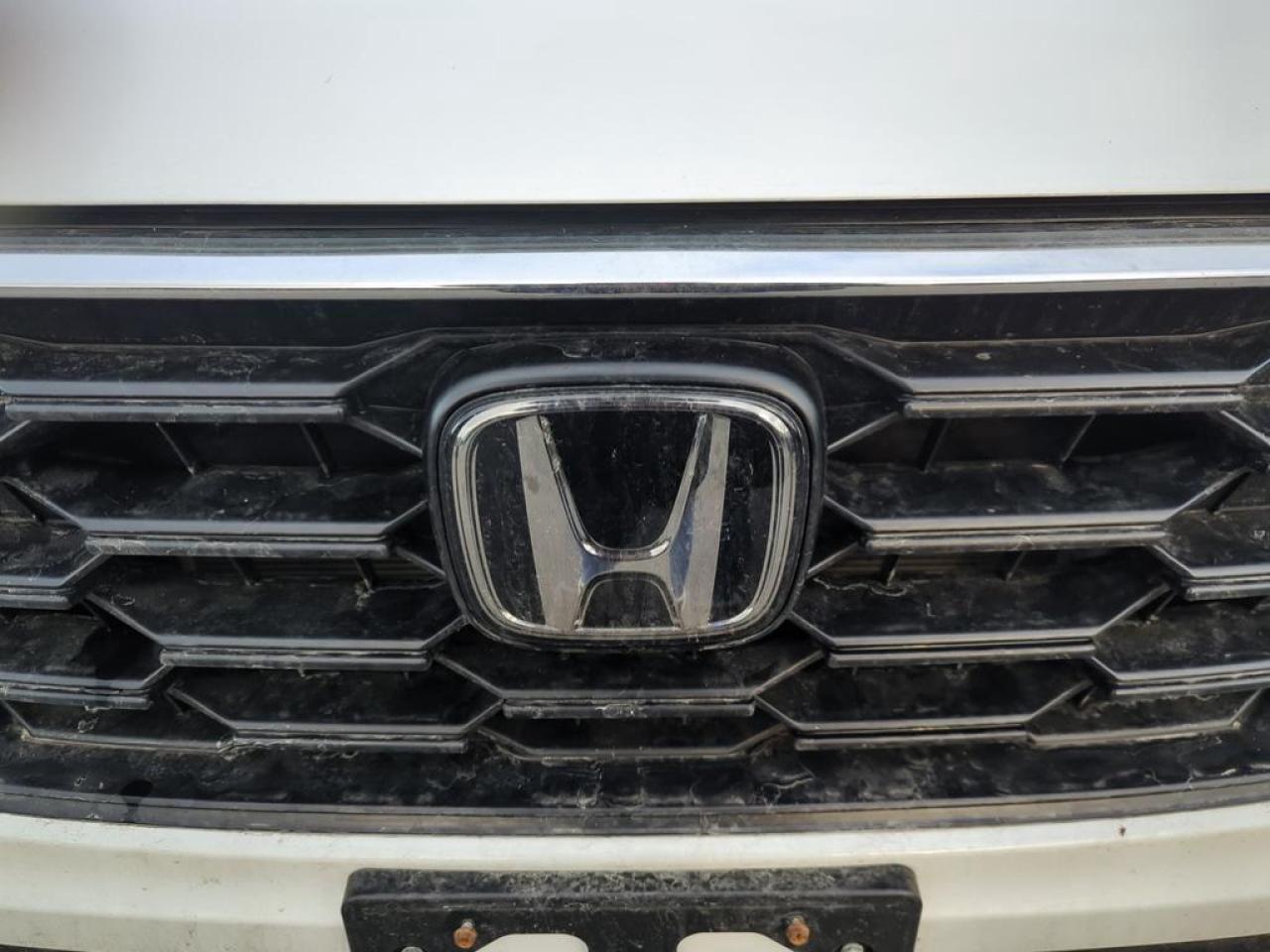 2025 Honda CR-V LX Photo