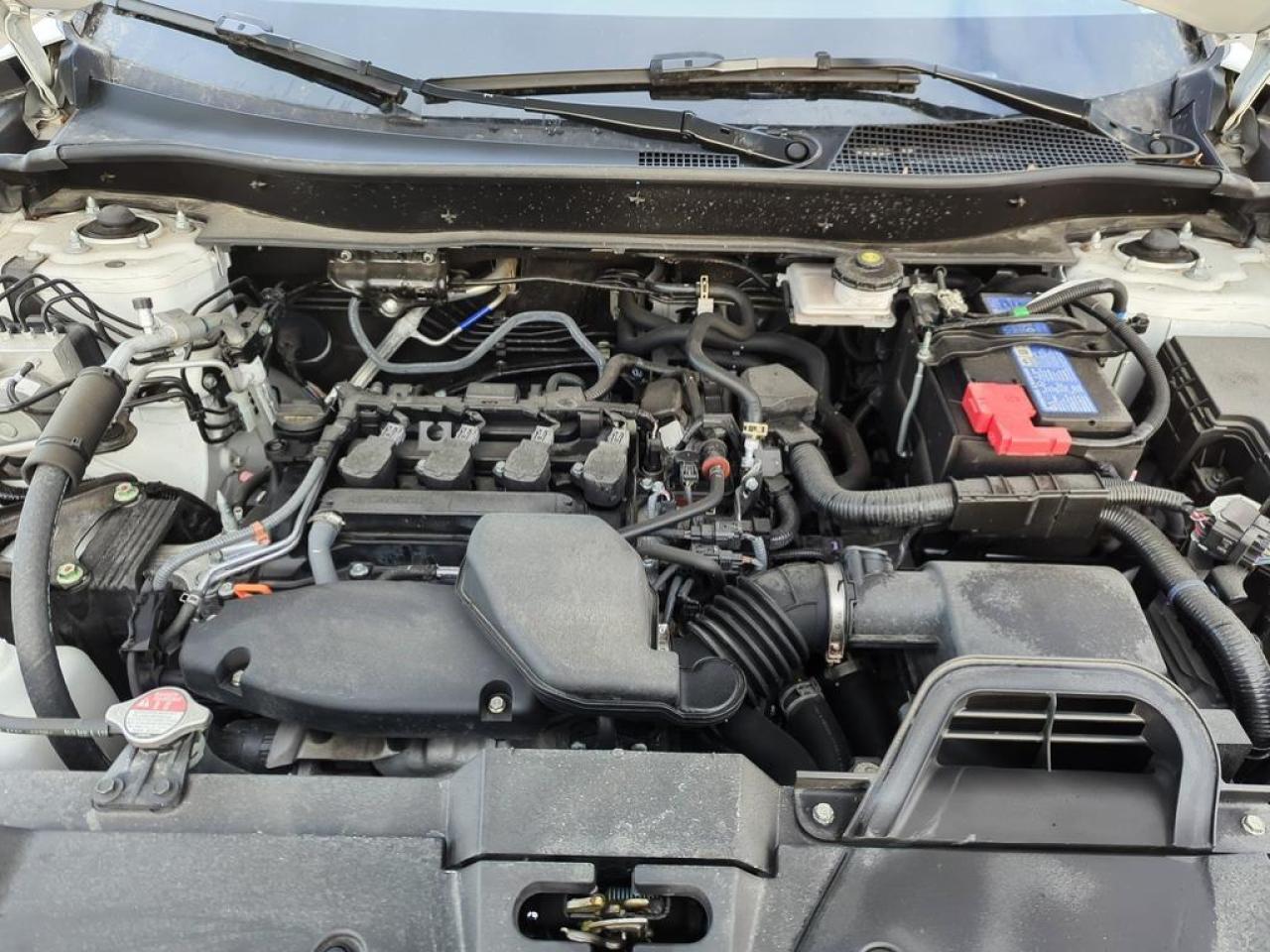 2025 Honda CR-V LX Photo