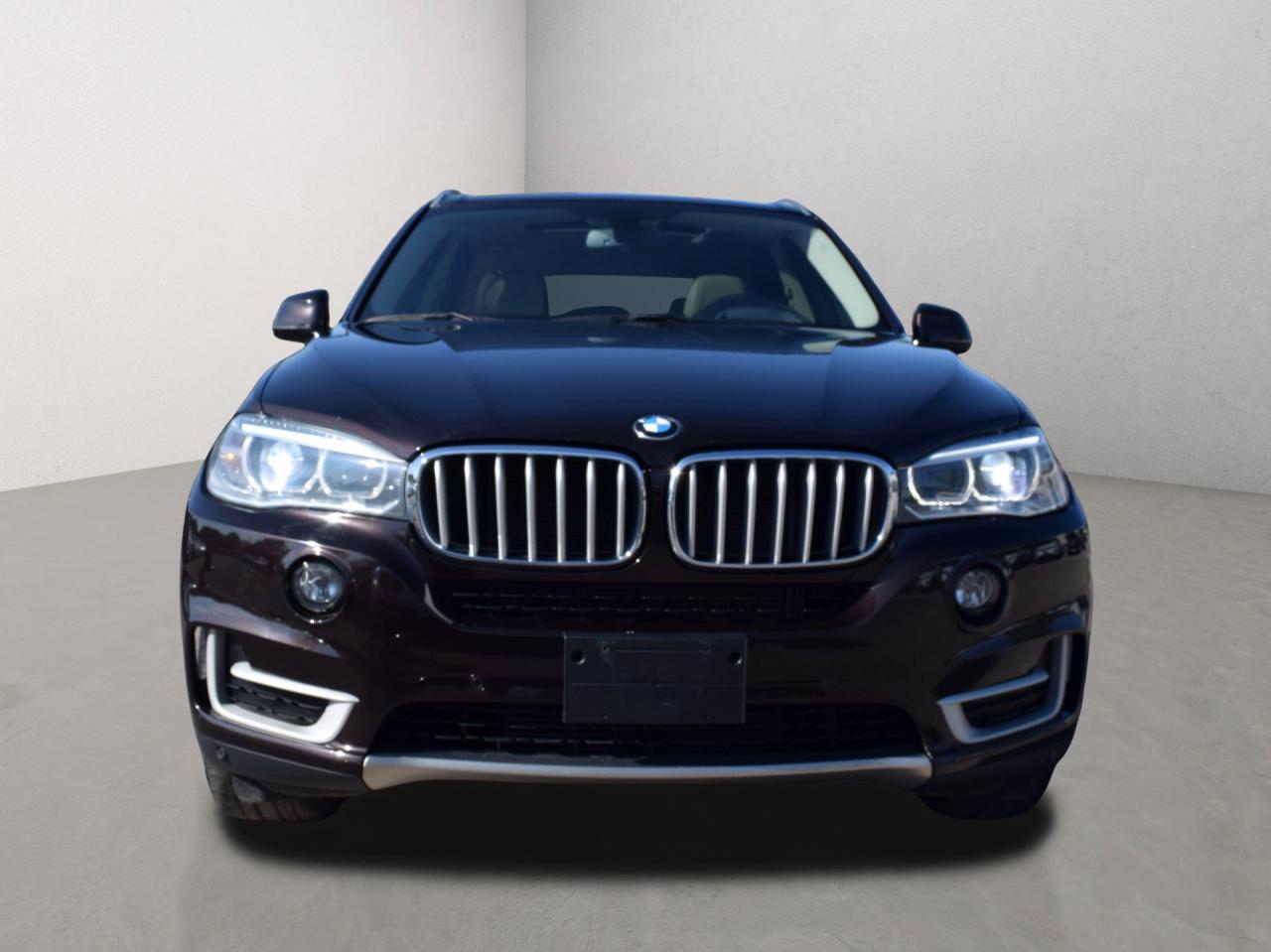 2016 BMW X5 xDrive35i Navi Panoramic Sunroof Photo
