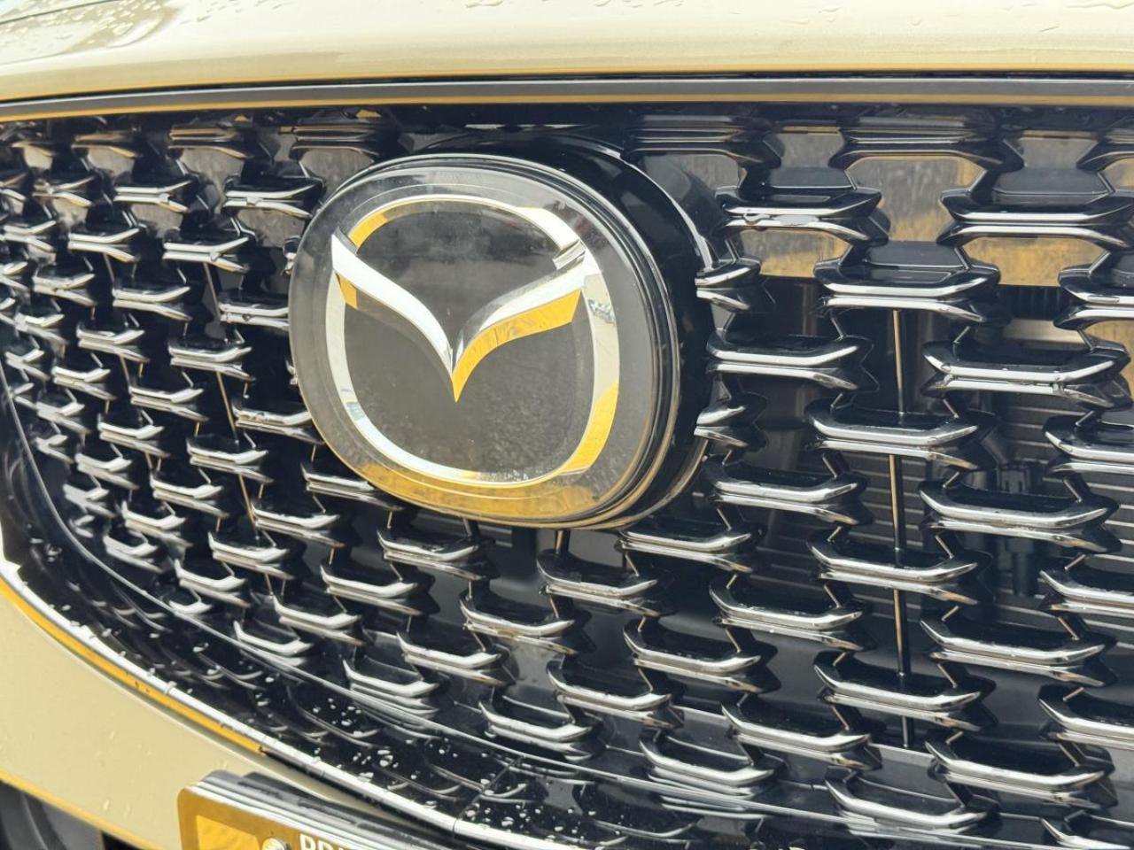 2025 Mazda CX-5 SUNA AWD/ EXTENDED WARRANTY/ 3.95% RATE/ CPO Photo