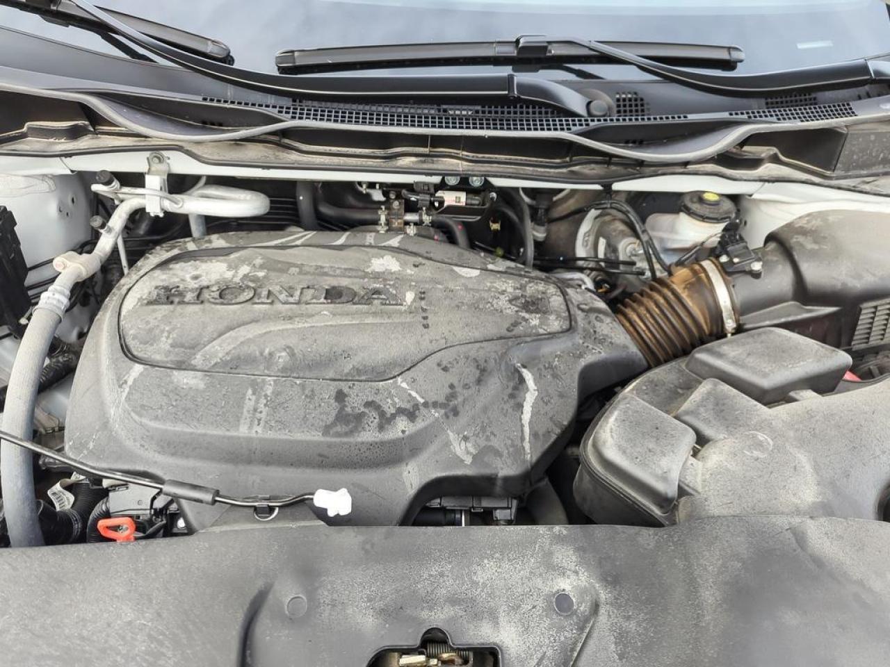 2025 Honda Odyssey Black Edition Photo