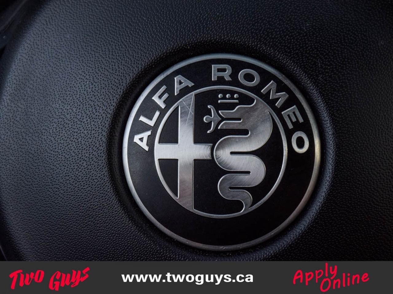 2021 Alfa Romeo Stelvio Ti Sport   RED Leather   Panoroof   Nav Photo