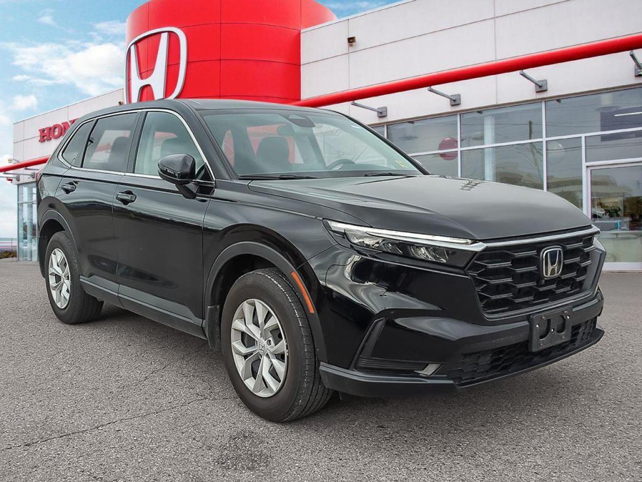 2023 Honda CR-V LX Photo