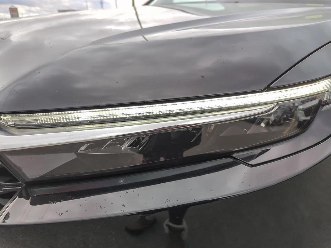 2023 Honda CR-V LX l Heated Seats Photo