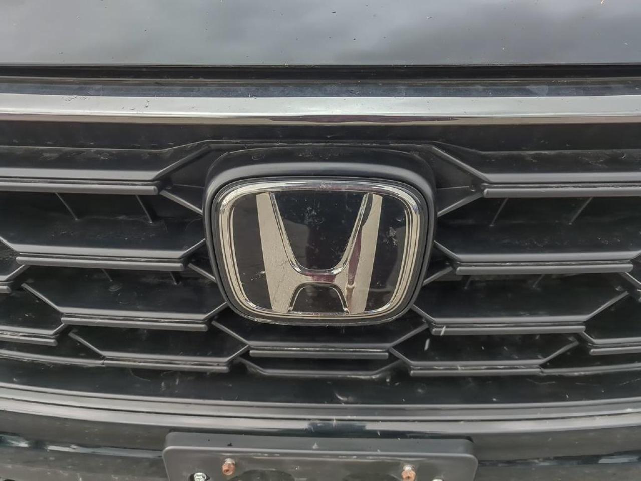 2023 Honda CR-V LX Photo