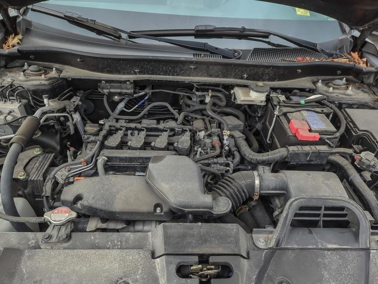 2023 Honda CR-V LX l Heated Seats Photo