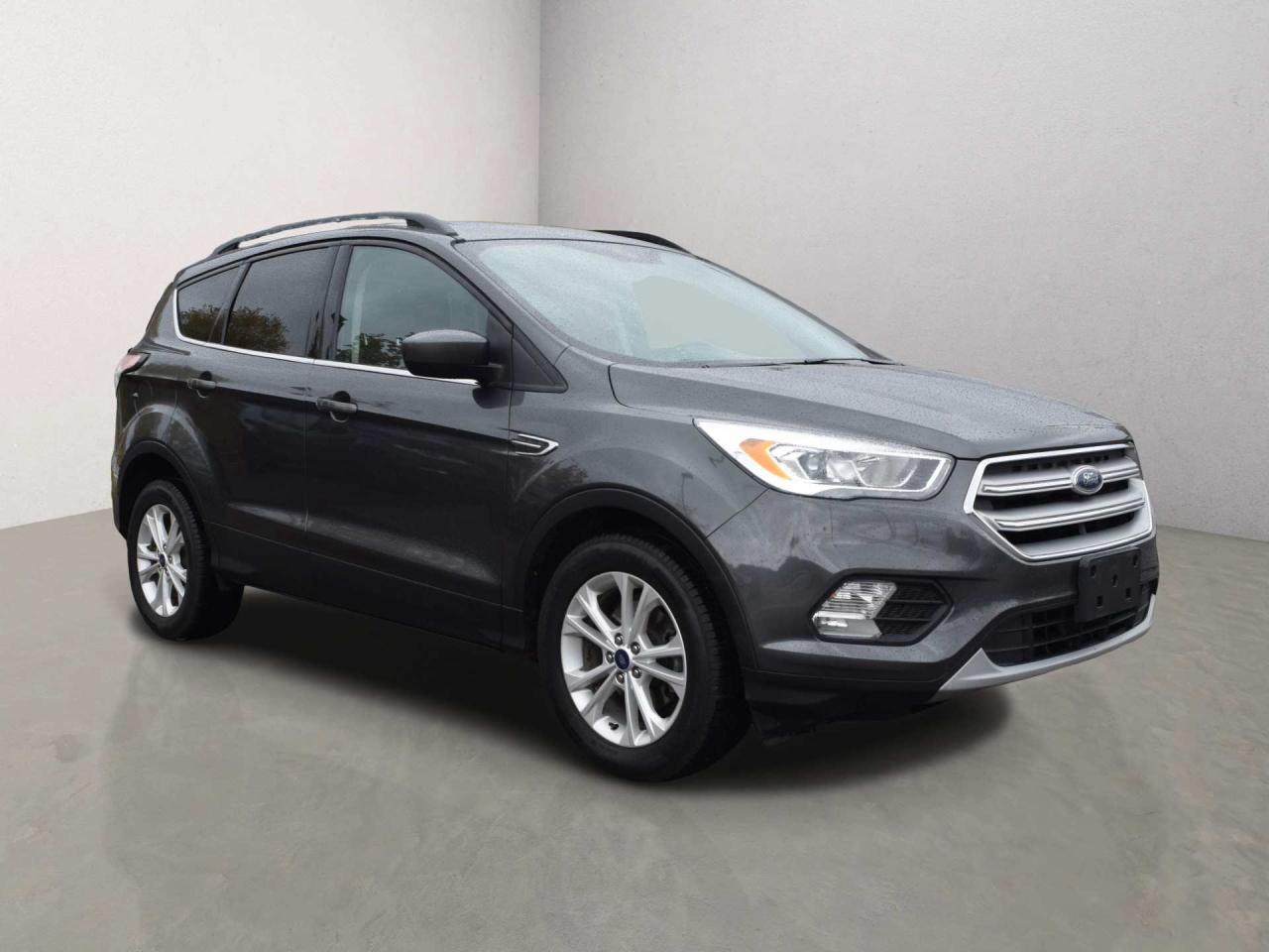 2018 Ford Escape SEL Navi Leather Panoramic Sunroof Photo2