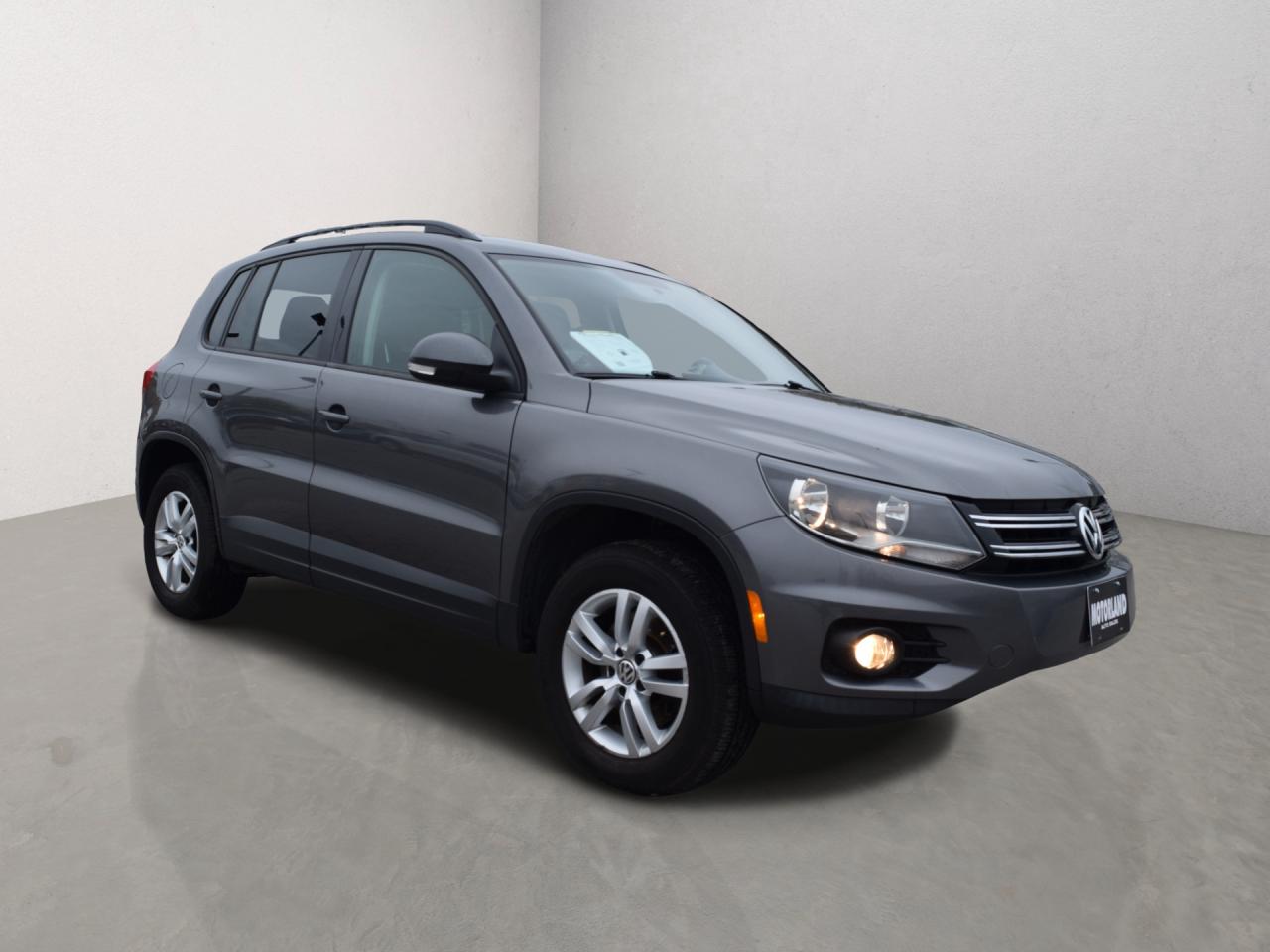 2014 Volkswagen Tiguan Trendline Photo