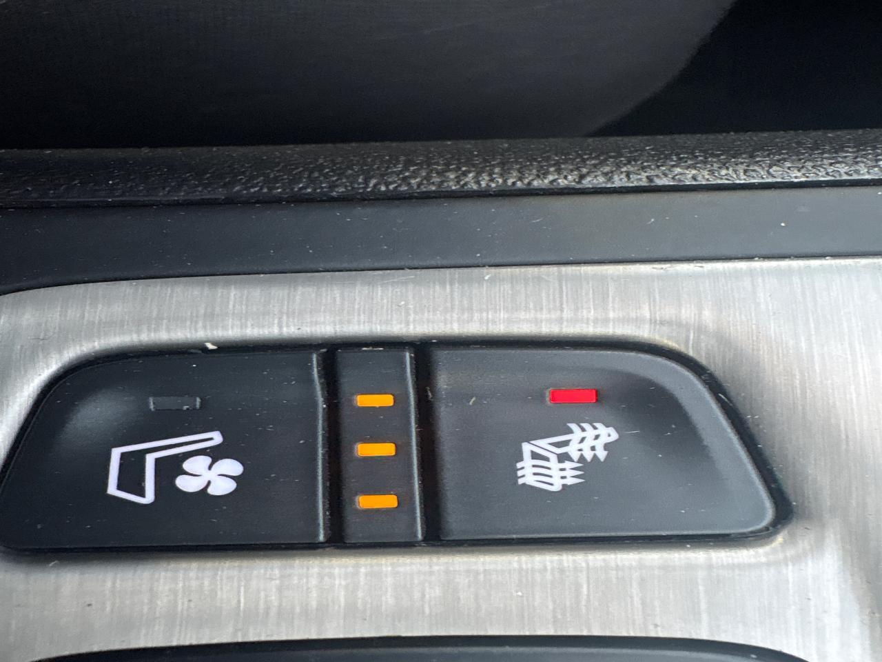 2023 GMC Terrain Denali AWD + Sunroof + Navi + 1 Owner + Low Kms Photo