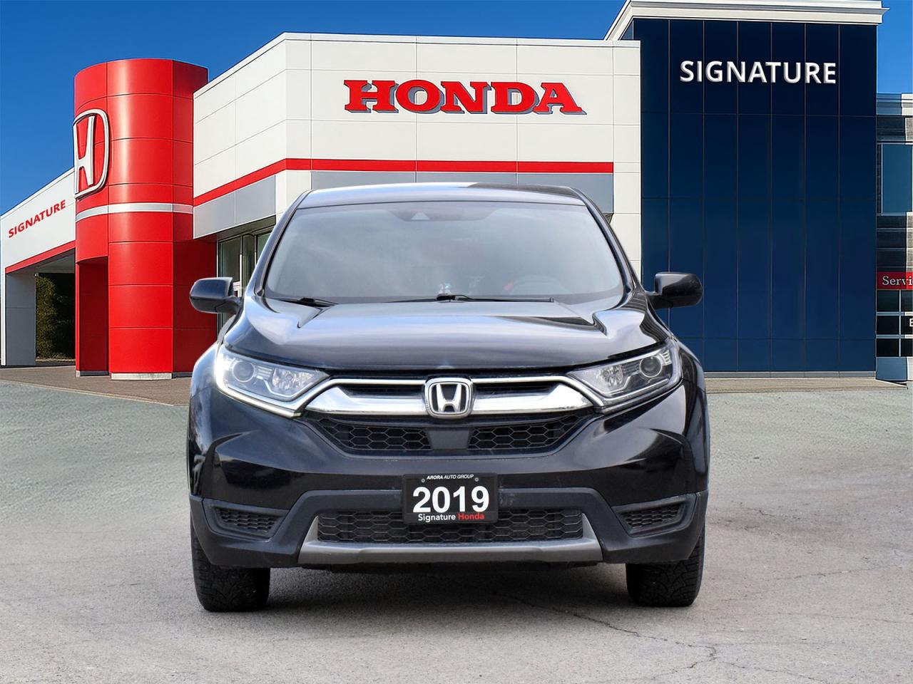 2019 Honda CR-V LX Photo