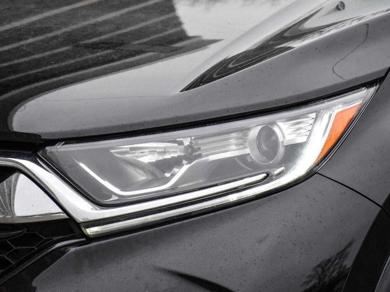 2019 Honda CR-V LX Photo