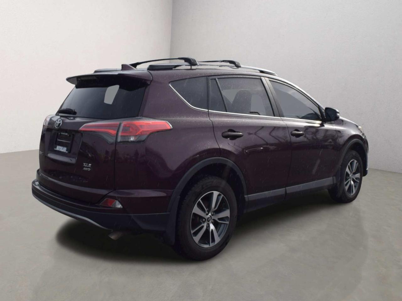 2017 Toyota RAV4 XLE AWD Sunroof Photo