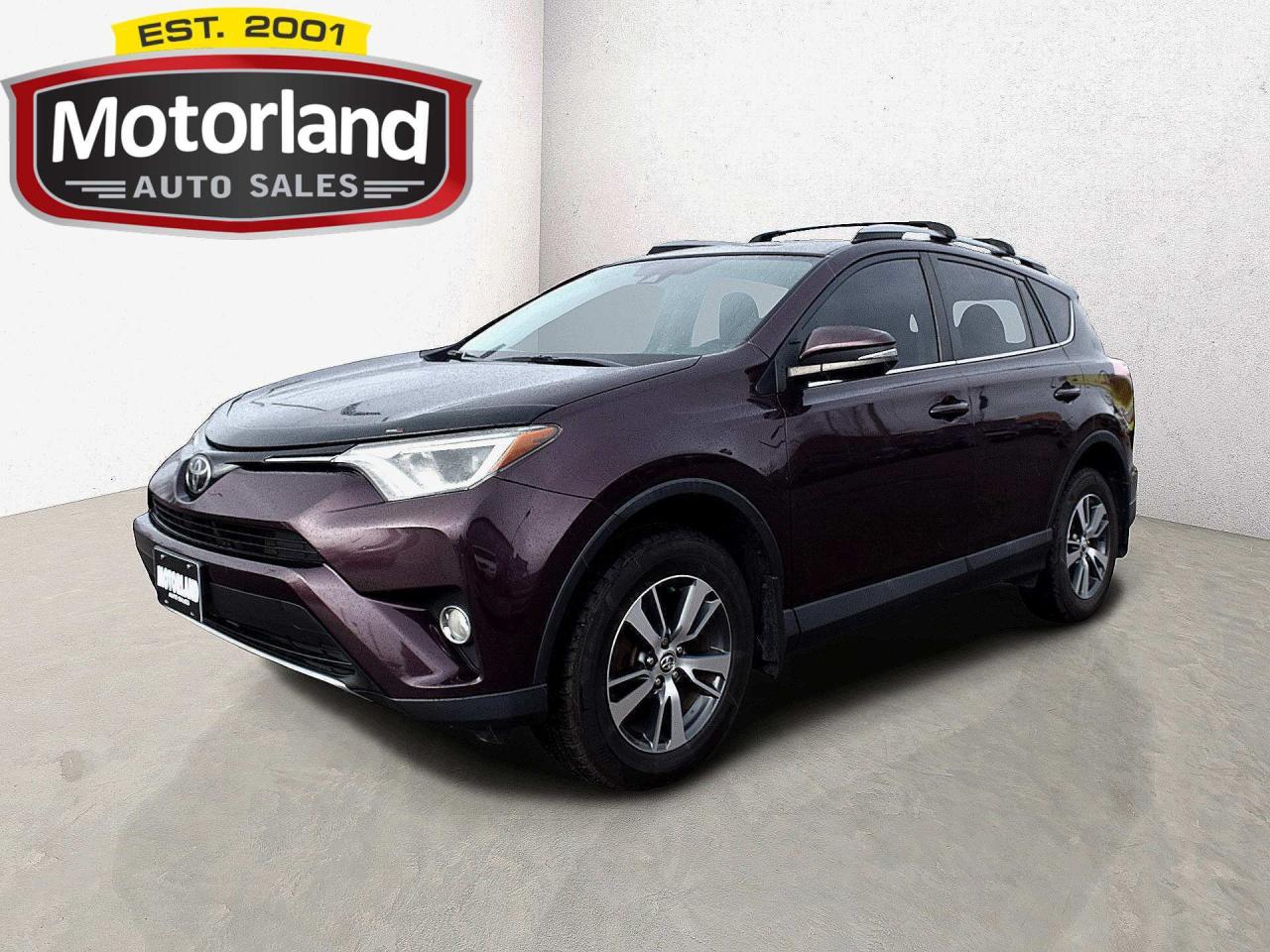 2017 Toyota RAV4 XLE AWD Sunroof Photo0