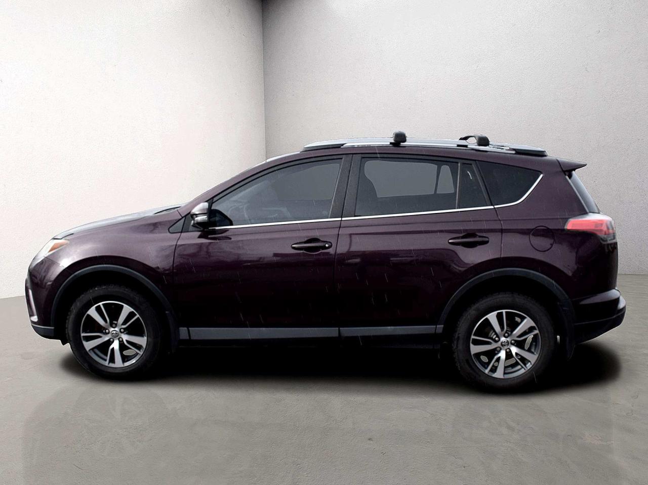 2017 Toyota RAV4 XLE AWD Sunroof Photo