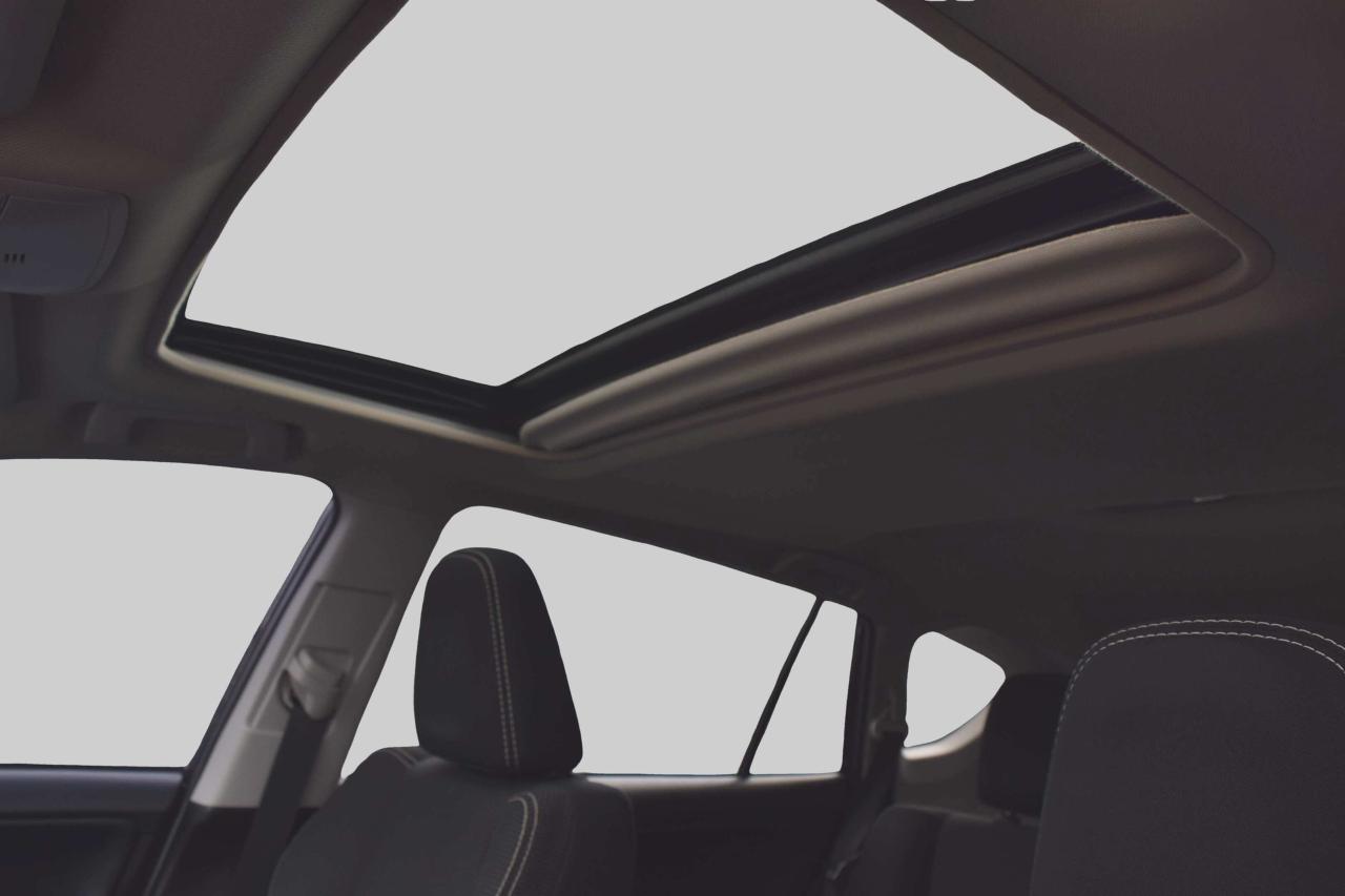 2017 Toyota RAV4 XLE AWD Sunroof Photo
