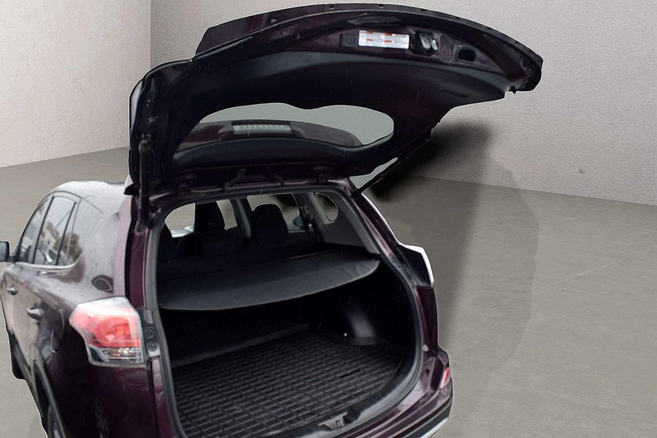 2017 Toyota RAV4 XLE AWD Sunroof Photo