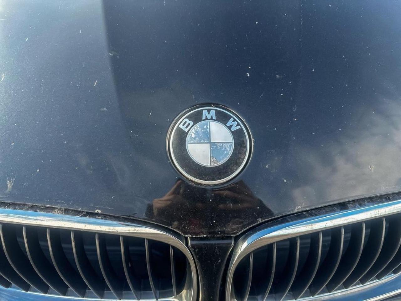 2009 BMW 3 Series 328i xDrive Photo