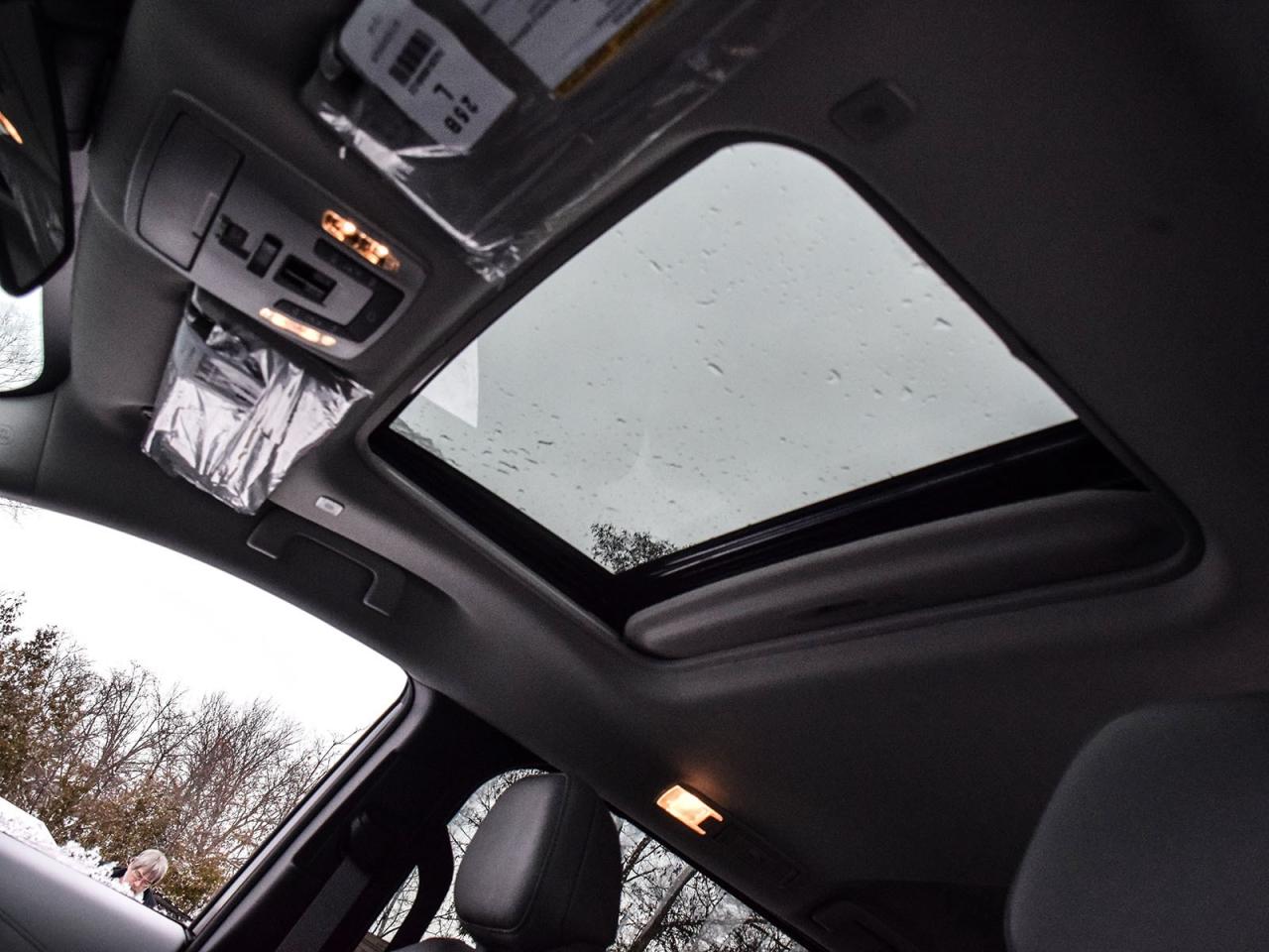 2025 Toyota Sienna XLE Photo