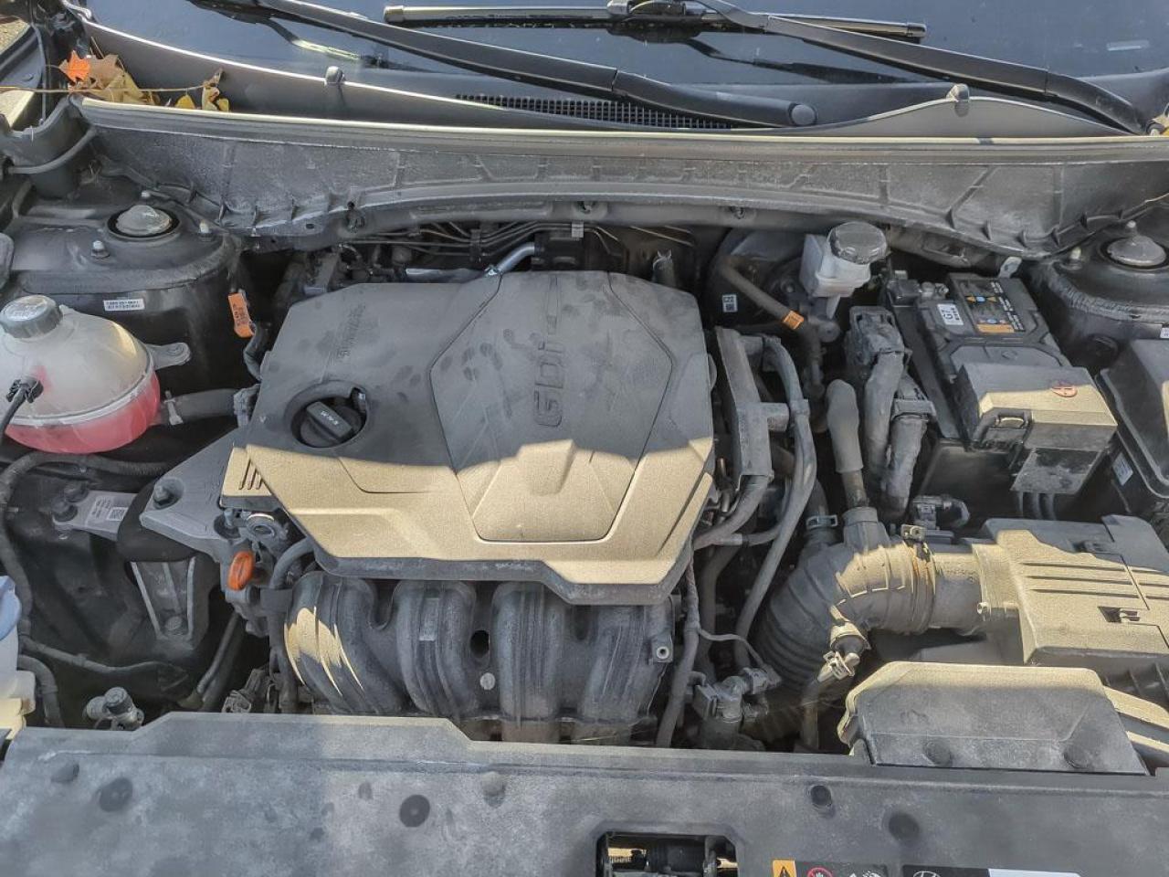 2022 Hyundai Tucson N Line Photo