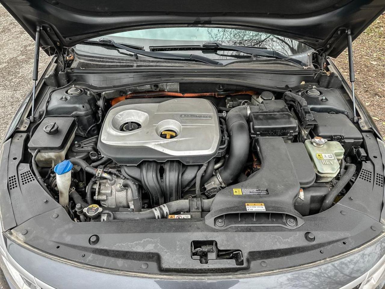 2018 Kia Optima Hybrid EX Photo