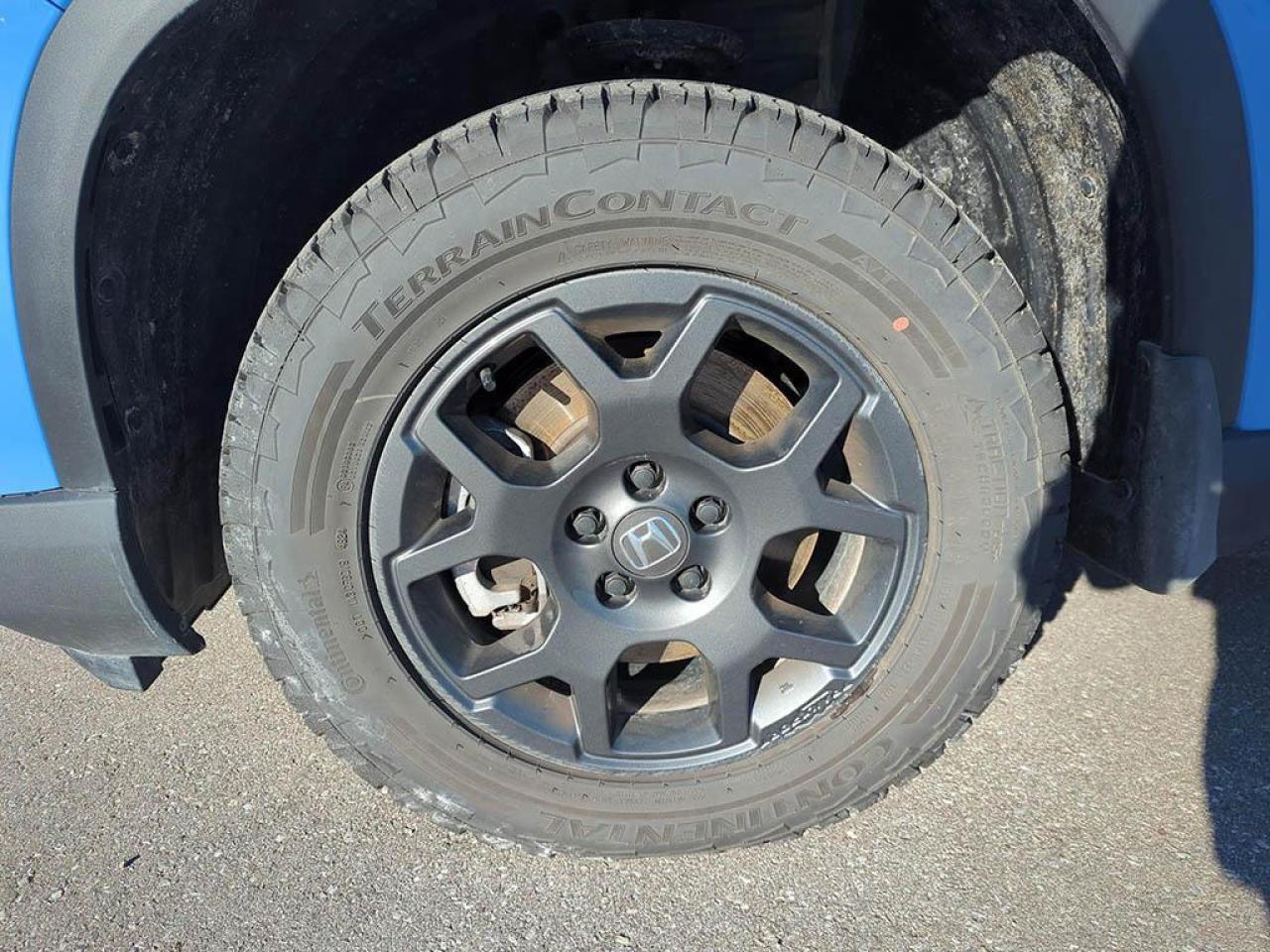 2025 Honda Pilot TrailSport Photo