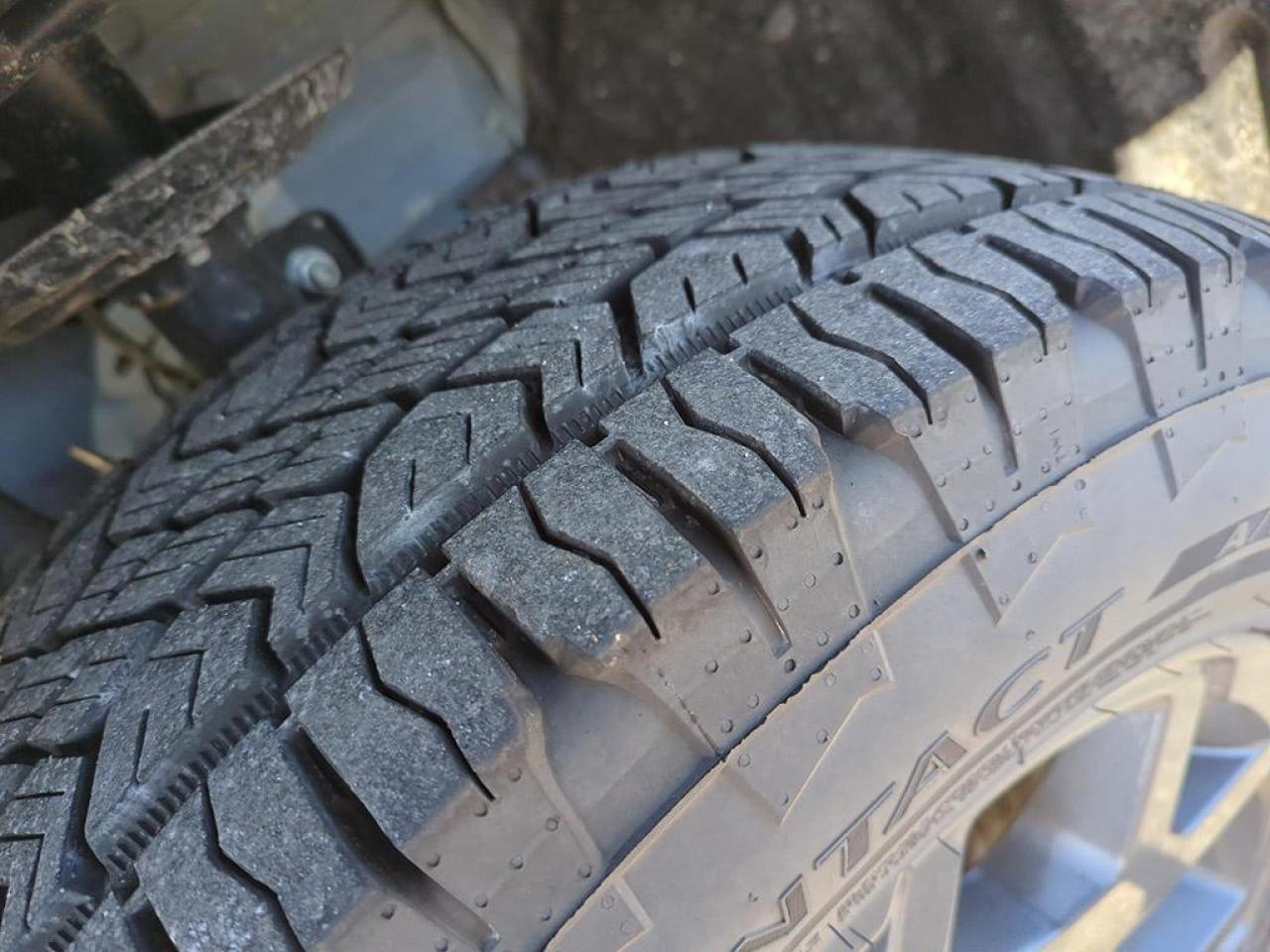 2025 Honda Pilot TrailSport Photo